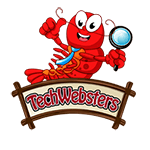 TechWebsters