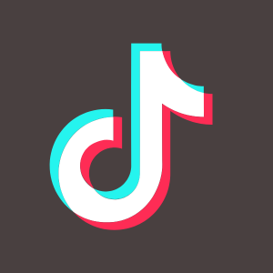 TikTok Icon