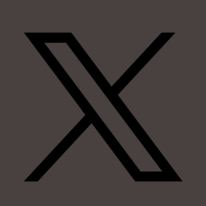 X Icon